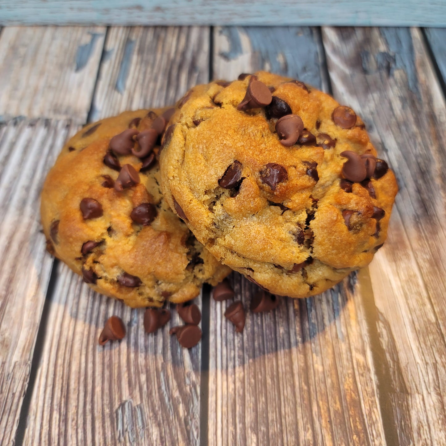 Vegan- Double ChocolaXxxxplosion